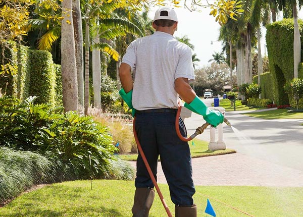 About Tresckow PA Pest Control